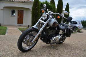 Sacoche Myleatherbikes Harley Dyna Low Rider (20)